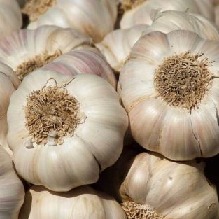 Garlic split-India