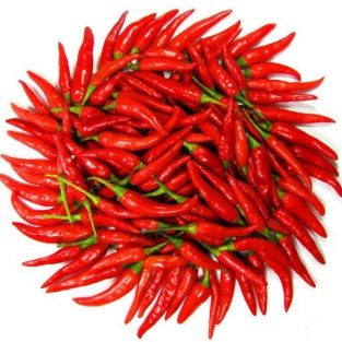 Fresh red chilli padi